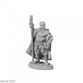 04013 Amari, Adventuring Wizard, is a miniature model in 25mm heroic scale from the Reaper Dark Heaven Legends range. Sculpted by Bobby Jackson.