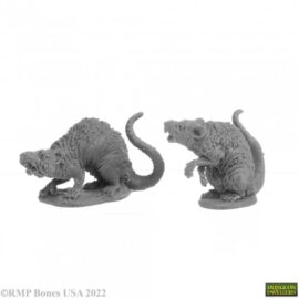 7035 : Barrow Rats (2). High quality plastic miniature suitable for wargaming and fantasy tabletop rpg games.