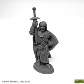 7076 : Sir Danarel - Paladin. High quality plastic miniature suitable for wargaming and fantasy tabletop rpg games.