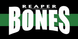Reaper Bones Plastic Miniatures