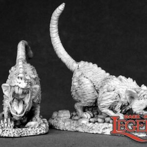 02544 : Barrow Rats