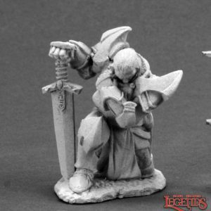03600 : Praying Paladin