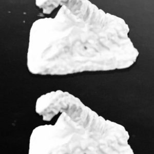 03773 : Giant Centipedes (2)  *