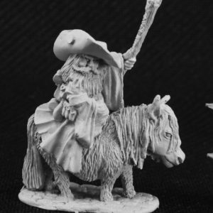03806 : Dwarf Wizard on Pony