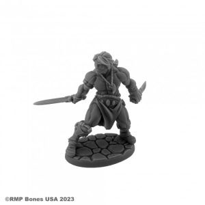 07116 : Hyborian Hero, Male Human Barbarian,