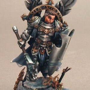 14068 : Duke Gerard, Crusaders Warlord, Human Paladin