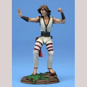 DSM4113 : Male Monk