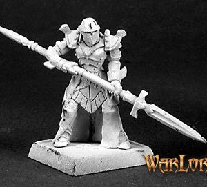 A male human fighter wearing full plate armour. A full lenght back skirt hands from the rear of his belt. He holds a long, downward pointing spear in both hands.