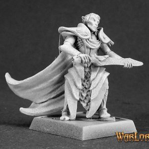 14468 : Ellithin Graysteel, Royal Elf Hero, Elf Fighter