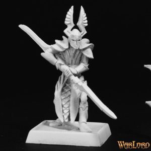 A male elf fighter. He is wearing full plate armour and an over robe. An elaborate winged helmet protects his head, while pauldrons do the same for his shoulders. In his hands he holds a double bladed pole arm.