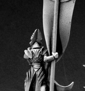 14557 : Elven Standard Bearer, Elf Fighter