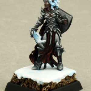 14631 : Evshyvandra Duskwidow, Dark Elf Warrior, Drow Fighter