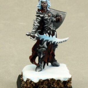 14631 : Evshyvandra Duskwidow, Dark Elf Warrior, Drow Fighter