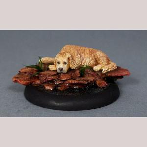 DSM7804 : "Zoe" Golden Retriever