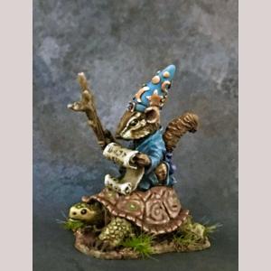 DSM8095 : Chipmunk Mage on Turtle Mount