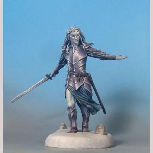 DSM7325 : Male Elven Warrior with Long Sword