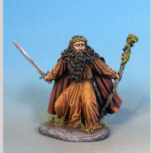 DSM7348 : Male Druid with Staff and Sword