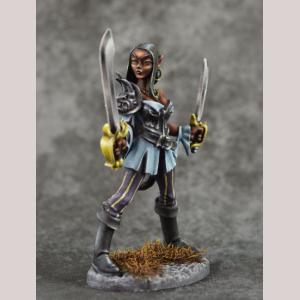 DSM4651 : Tywla - Planar Demonkin Rogue