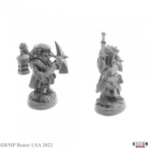 30062 : Deep Gnome Heroes (2)  *