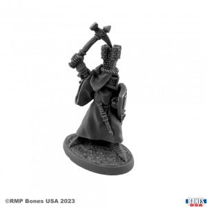 30152 : Sir Roland the Grey, Male Human Paladin