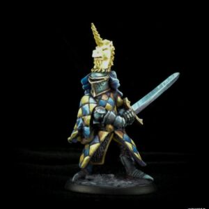 30154 : Sir Richard the White, Male Human Paladin