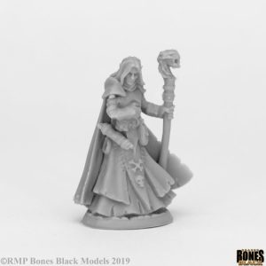 44073 : Dark Elf Wizard