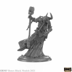 44147 : Elemental Scions Boxed Set