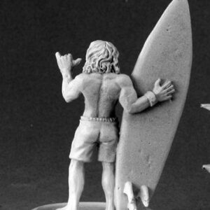 50099 : Surfer Dude