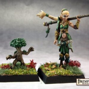 60147 : Female Elf Druid and Familiar