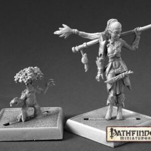 60147 : Female Elf Druid and Familiar