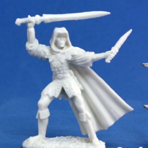 77030 : Danar, Male Human Assassin