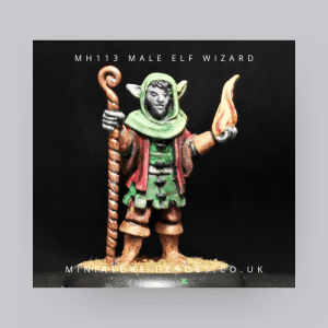 MH113 : Male Elf Wizard
