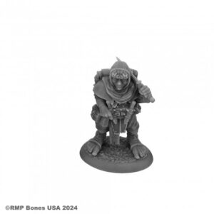 07134 : Dodger Barncock, Halfling Rogue