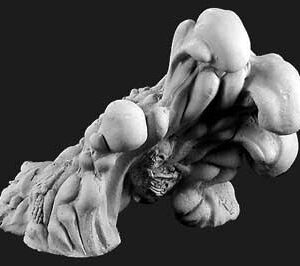 A large ooze that appears to be rearing up.