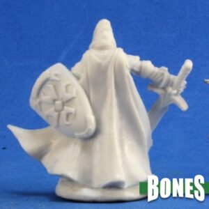 77200 : Sir Conlan, Male Human Paladin