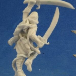 77217 : Mi-Sher, Female Elf Ranger