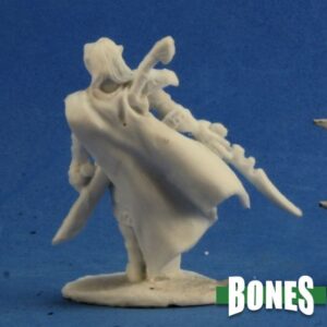 77221 : Ardynn, Male Elf Fighter