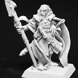 14045 : Valandil, Male Human Wizard