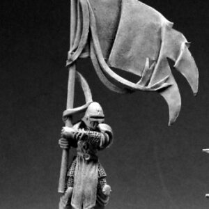 A male human fighter holding a standard. He is wearing full plate armour and a helmet. A cloth tabbard covers the front and back of the armour.
