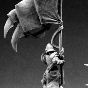 14523 : Standard Bearer, Male Human Fighter