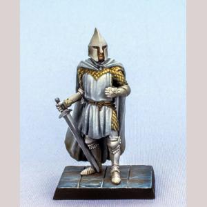 DSM5143 : Ser Mandon Moore - Kingsguard