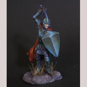 DSM7347 : Male Warrior with Sword and Shield
