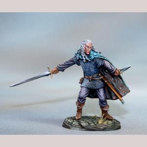 DSM7354 : Male Elven Warrior - Dual Wield