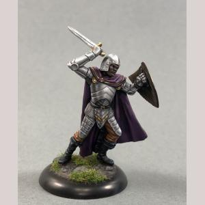 DSM7357 : Male Warrior with Sword and Shield