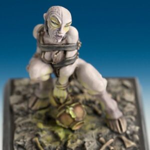 30242 : Female Chaos Cultist