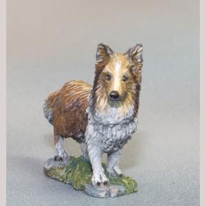 DSM7826 : Sheltie Dog - 2 Pack